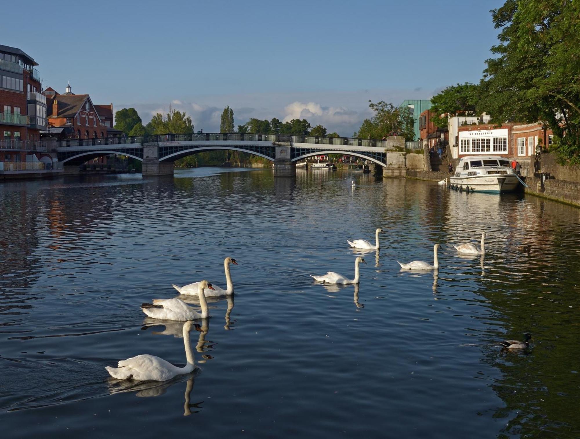 Top Floor En-Suite Double Bedrooms With Great View Of Windsor Castle & Free Parking Eksteriør bilde